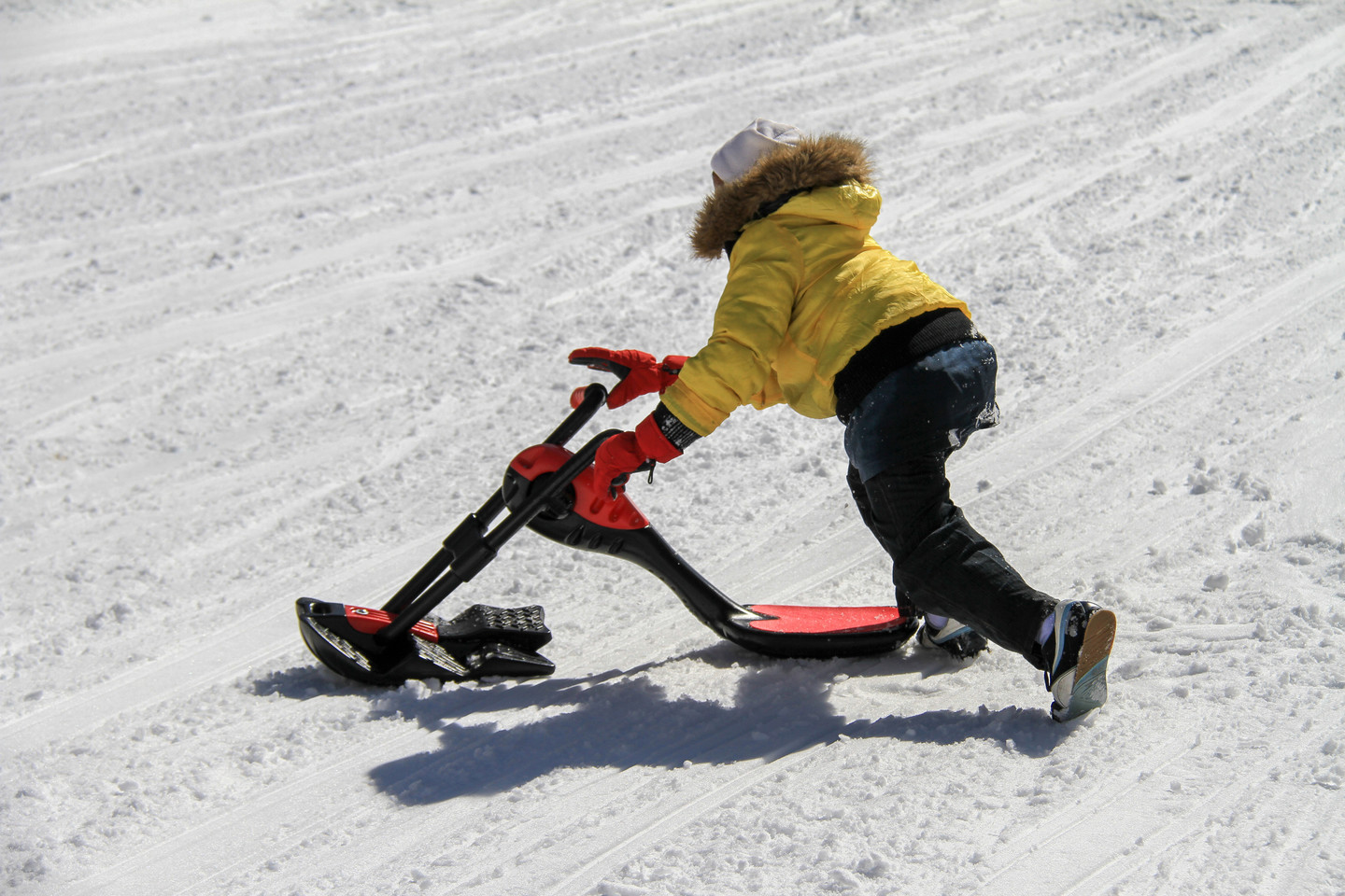 Plantkunde Daarbij verdrievoudigen Funsport op skivakantie - airboard, snowbike en meer